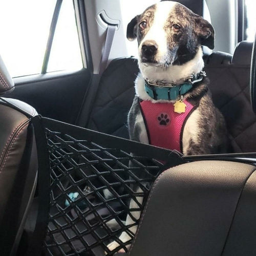Car Protective Net for Dogs and Children – Barrier